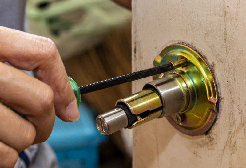 Professional Locksmith Bedfordview